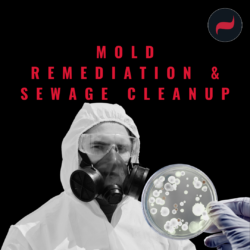 Mold Remediation & Sewage Cleanup Technician